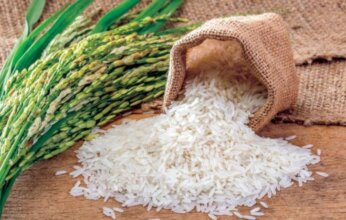 شعبة الأرز: «لو سعر الكيلو أكثر من 17 جنيها لا تشتريه»